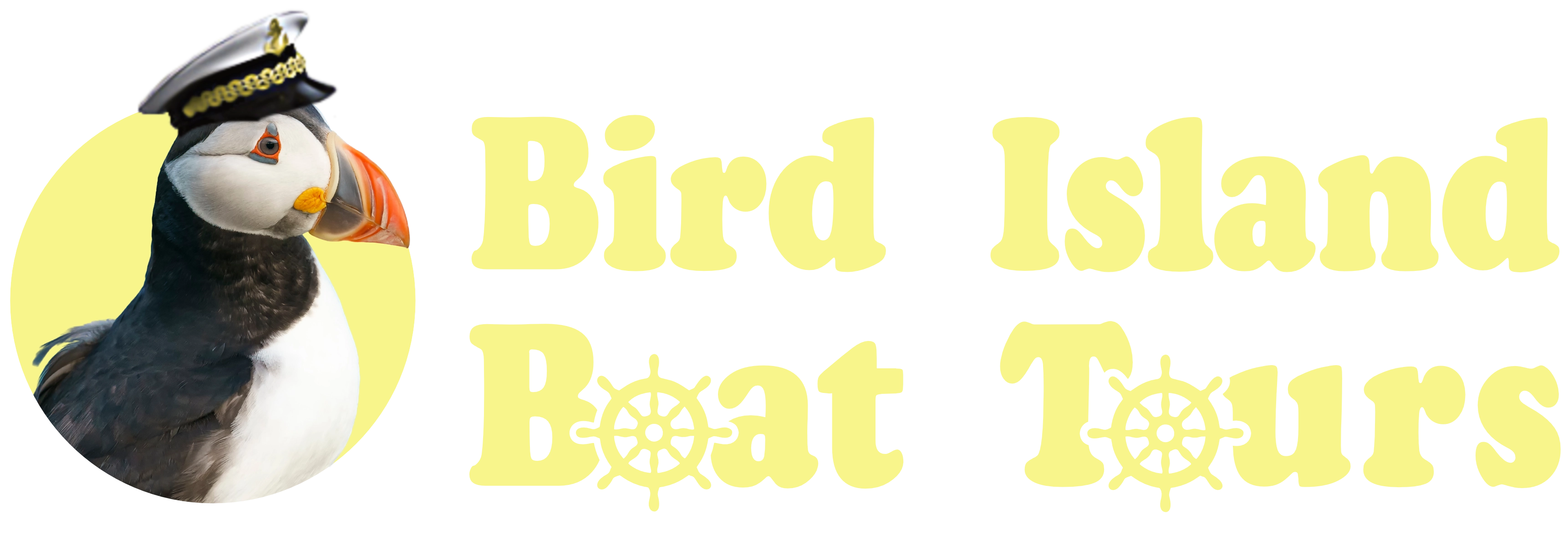 Puffin with a hat on it, Bird Island Boat Tours