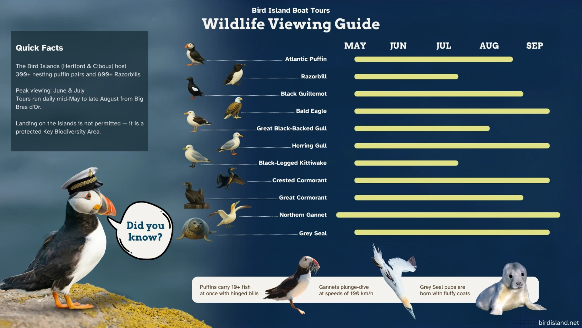 Bird Island Wildlife Viewing Guide showing species by season. Click to enlarge.