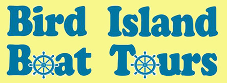 Bird Island Boat Tours